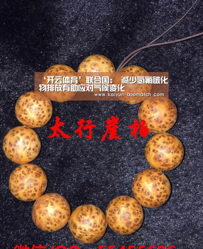 ‘开云体育’联合国: 减少氢氟碳化物排放有助应对气候变化(图1) 开云体育